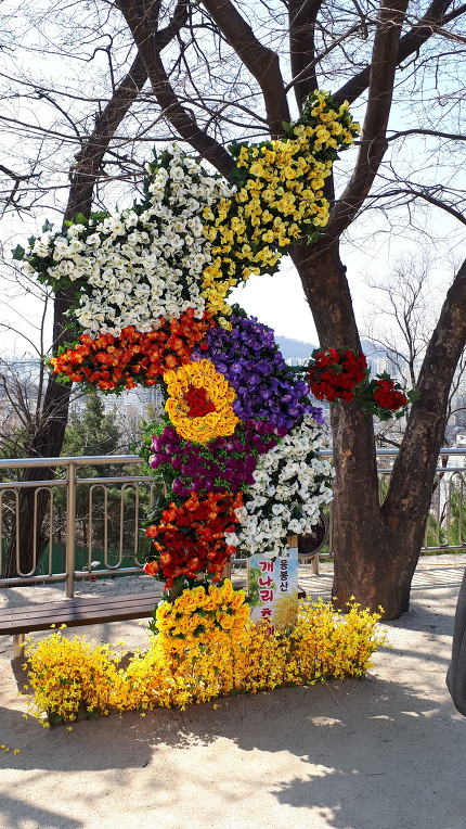 응봉산 개나리축제 한마당