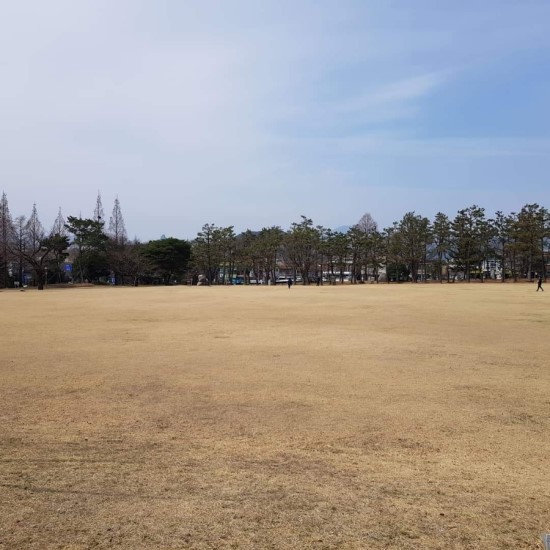 20190309(토)_풍경★경남도청_봉하마을_창원마산야구장 (작성자: 모범시민)
