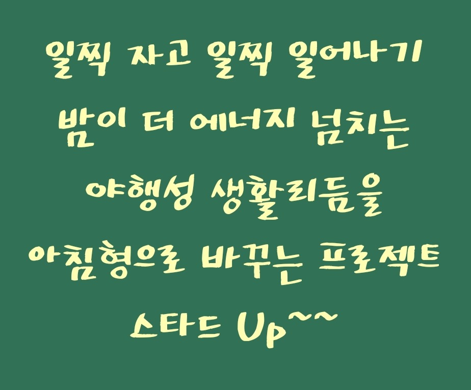 해지면 더 쌩쌩하고 에너지 넘치는 야행성 생활리듬을 아침형으로 바꾸기 프로젝트 스타트 