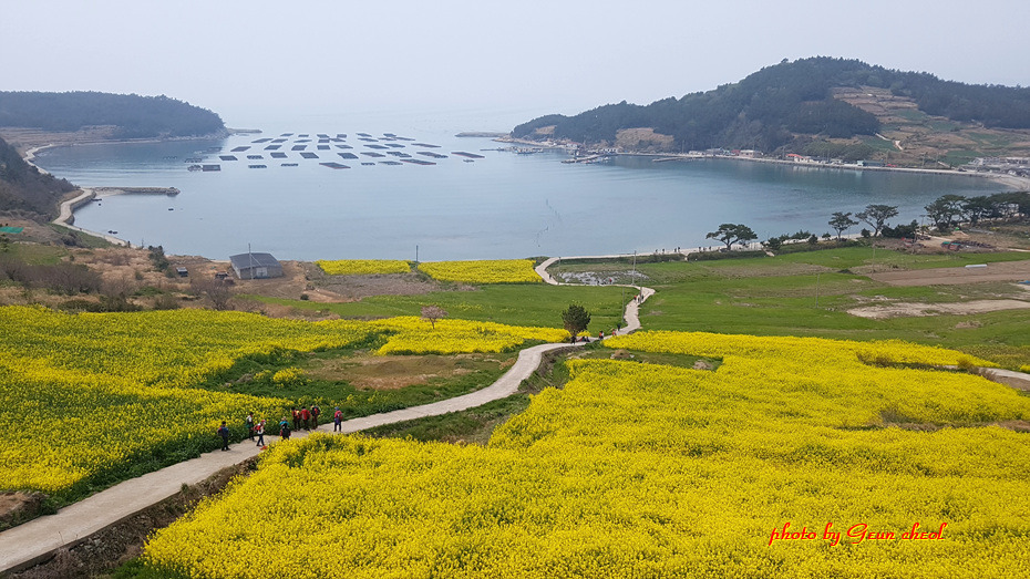 느림의 쉼표..청산도..2019.04.07 