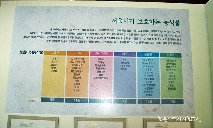 한양 도성의 꽃 展