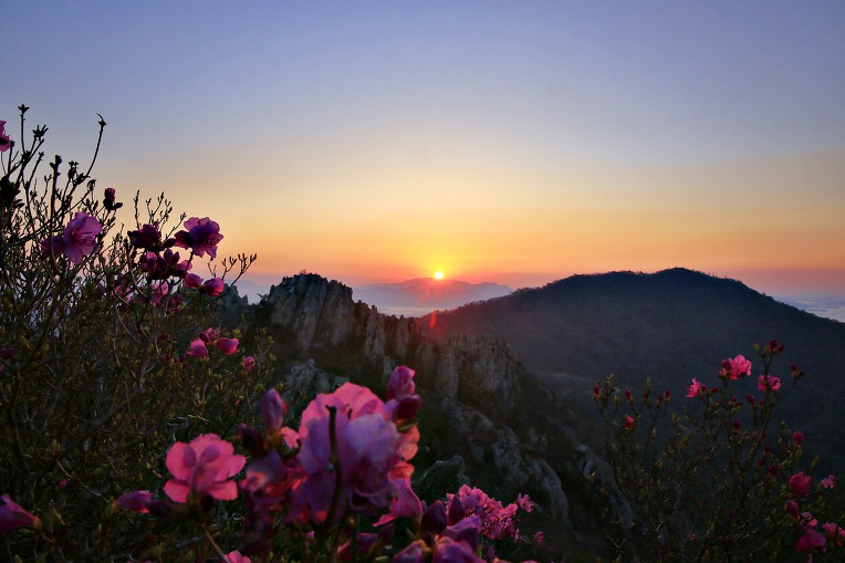 주작산 (전남 강진)