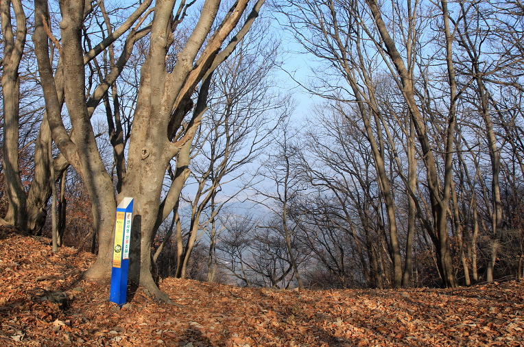 * 천안 광덕산 산행기