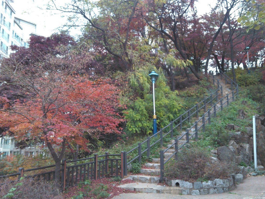 17.11.13(月)