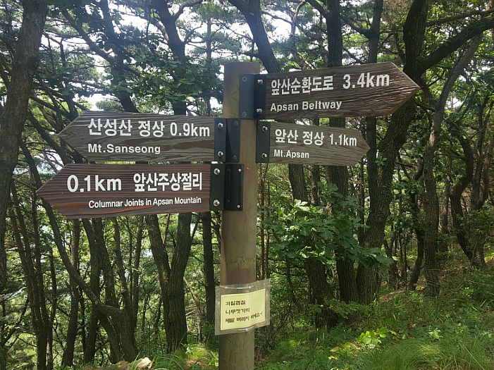 대구 시민의 휴식처 앞산올랐다가 택시타고 온 사연은? 