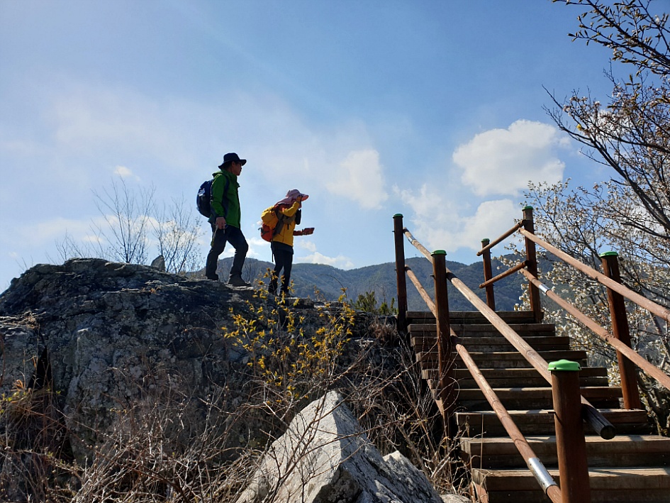 마산 무학산 진달래산행.