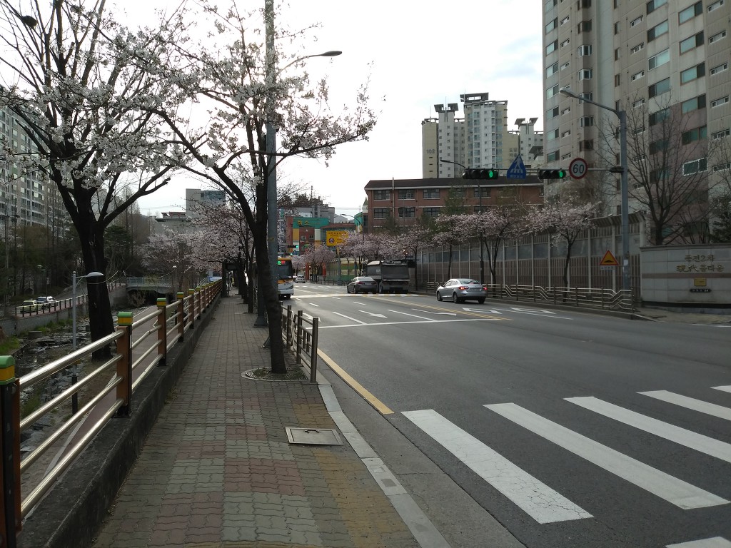 19.4.9(화)