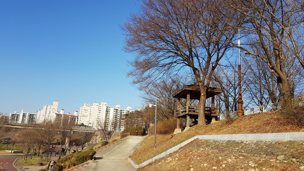 햇살이 좋더라!