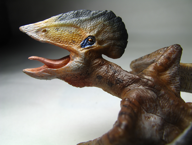 tupuxuara dinosaur